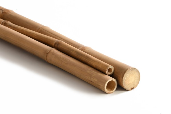Bambusrohr Moso - Bambusstange Bambus Holz Stab Rankhilfe Deko Wand Verkleidung
